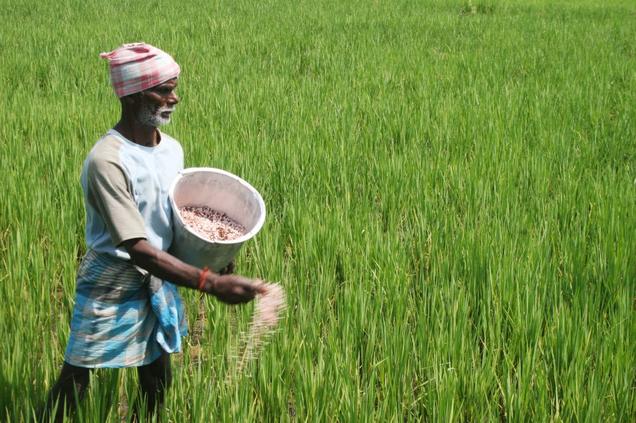 Fodder Production And Management