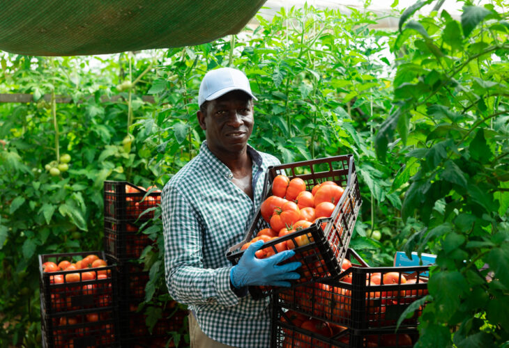 local producers and manufacturers in Nigeria